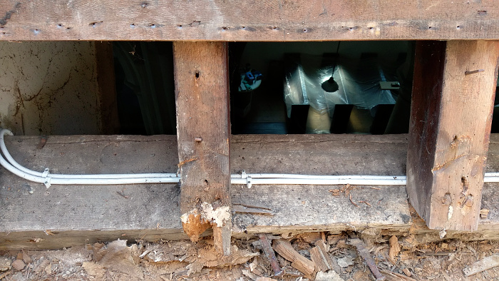Damaged wall plate and roof timber